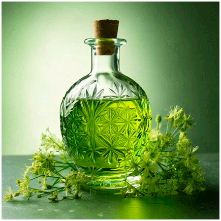 Absinthe 1340 Natural flavour